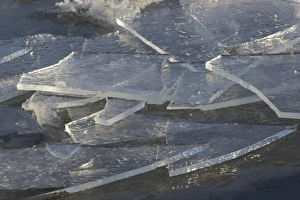 Ices Prints: Broken sheets of ice on frozen river