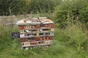 Site Prints: Bug Hotel artificial site created for invertebrates