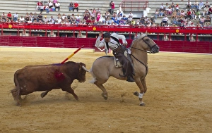 Rides Prints: Bullfighting, Banderillero with banderillas