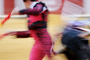 Tradition Prints: Bullfighting, Banderillero escaping from bull in bullring