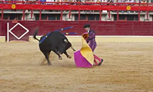 Bull Prints: Bullfighting, Matador with cape