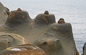 Erosion Prints: Candle Shaped Rock formation on eroded coastal rock