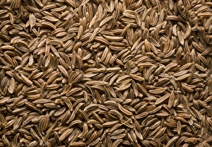 Piles Prints: Caraway (Carum carvi) fruit, pile of seeds