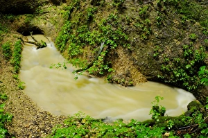 Cave Prints: Carsic river emerging overground from cave in woodland, Italy, june