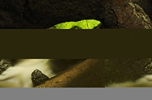 Cave Prints: Carsic river flowing through cave in woodland, Italy, june