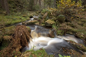 Cascade Prints: Cascade on upland stream in woodland habitat