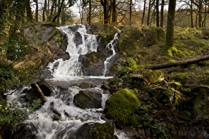 Cascade Prints: Cascades flowing over rocks in river