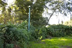 Iron Prints: Cast-iron post, top of post indicating ground level in 1851 when fens were drained