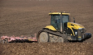 Prepare Prints: Caterpillar Challenger tracked tractor, cultivating seedbed, Scotland, september