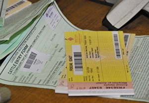 Mart Prints: Cattle farming, cattle passports at livestock market