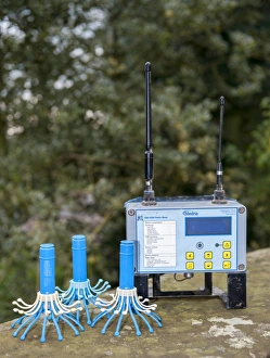 Cattle farming, electronic calving thermometer, which is placed inside cow