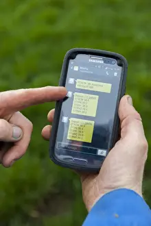 Farmer Prints: Cattle farming, farmer recieving text message from electronic thermometer