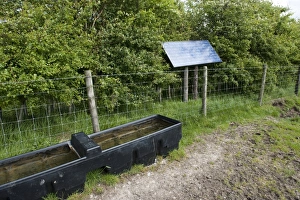 Pumps Prints: Cattle farming, livestock drinking trough