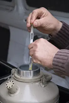 Straw Prints: Cattle farming, removing straws of embryos from flask containing liquid nitrogen for embryo transfer into recipient