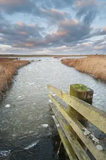 Fence Prints: Cattle fence and frozen flooded ditch in coastal grazing marsh at sunset