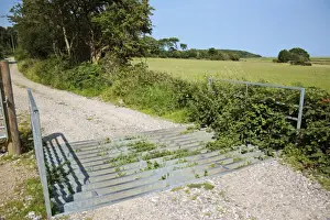 Grazer Prints: Cattle grid on track, used to restrict ponies in conservation grazing project