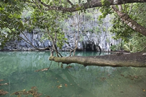 Cave Prints: Cave entrance to subterranean river, Puerto Princesa Subterranean River N. P
