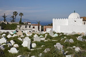Headstone Prints: Cemetery in coastal city, Tangier, Morocco, april