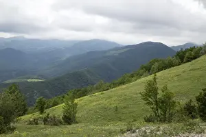 Park Prints: Central Balkan National Park - Planina Mountain range, Bulgaria