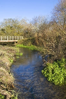 Chalk Prints: Chalk river flowing under bridge, River Piddle, Dorset, England, november