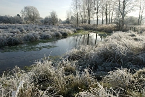 Frosted Prints: Chalk stream on frosty morning