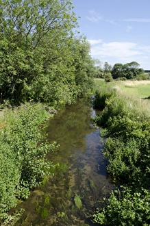 Chalk stream habitat, River Stiffkey, Norfolk, England, August