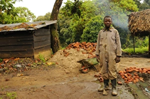 Rain Forests Prints: Child building houses in village on park border