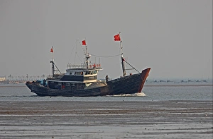 Chinese Prints: Chinese fishing boat heading back to port, Hebei, Bohai Gulf, Yellow Sea, China, may