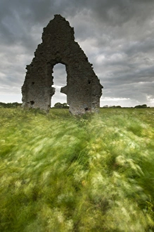 Religions Prints: Church ruins and windblown vegetation, Midley Church, Romney Marsh, Kent, England, June