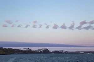 North Polar Prints: Cirrus Kelvin-Helmholtz wave cloud formation over coastline at dusk