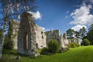 Ruined Prints: Cistercian abbey ruins, Jervaulx Abbey, East Witton, North Yorkshire, England, August