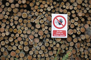 Stacks Prints: Do Not Climb on timber stacks warning sign on log stack