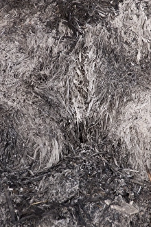 Burning Prints: Close up of burnt straw after a farm barn fire