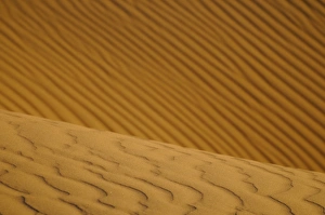 Moroccan Prints: Close-up of desert sand dunes, Sahara, Morocco, january