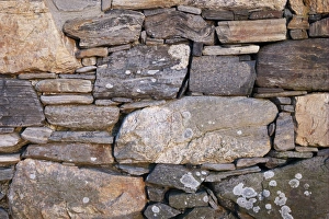 Stones Prints: Close-up of drystone wall at abandoned croft, Unst, Shetland Islands, Scotland, June