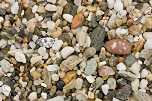 Details Prints: Close-up of fine multi-coloured gravel and pebble beach