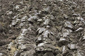 Furrows Prints: Close-up of furrows in newly ploughed field, Sweden, autumn