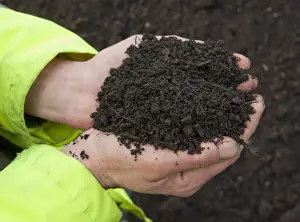 Hand Prints: Close-up of hands holding green compost waste at municipal waste site