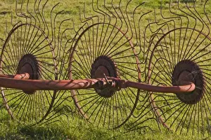 Tedders Prints: Close-up of hay tedder, agricultural machinery left in grassy field, Dorset, England