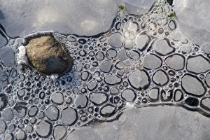 Details Prints: Close-up of ice formed around stone at edge of lake