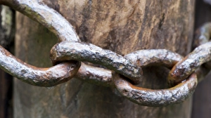 : Close-up of old metal chain around gatepost, North Yorkshire, England, July