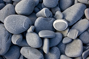 Details Prints: Close-up of rounded sandstone pebbles on beach, Hartland Quay, North Devon, England, may