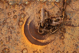 Details Prints: Close-up of rusted metal chain and loop in harbour