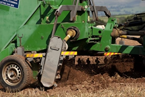 Stones Prints: Close-up of stone picker going over newly ploughed field, England, september