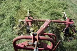 : Close-up of tedder, spreading newly mown grass to wilt better and make good hay