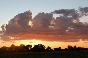 Clouds over wetland habitat at sunset, Okavango Delta, Botswana