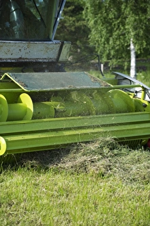 Cls Jaguar 850 forage harvester, cutting grass for silage, close-up of header, Alunda, Uppsala, Sweden, june