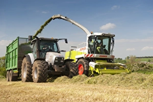 : Cls Jaguar 850 self propelled forage harvester