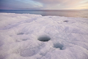 North Polar Prints: Coastal glacier terminus with melting ice at sunset