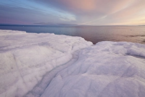 Coastal glacier terminus with melting ice at sunset, Brasvellbreen Glacier, Nordaustlandet, Svalbard, august
